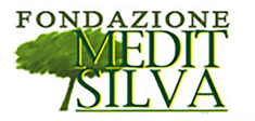 logo fondazione.medit